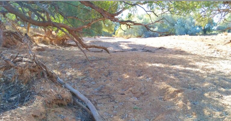 taking time to heal This scene near Coober Pedy is a peaceful reminder of the need to take time out, says Janet who does Bowen Therapy in the town
